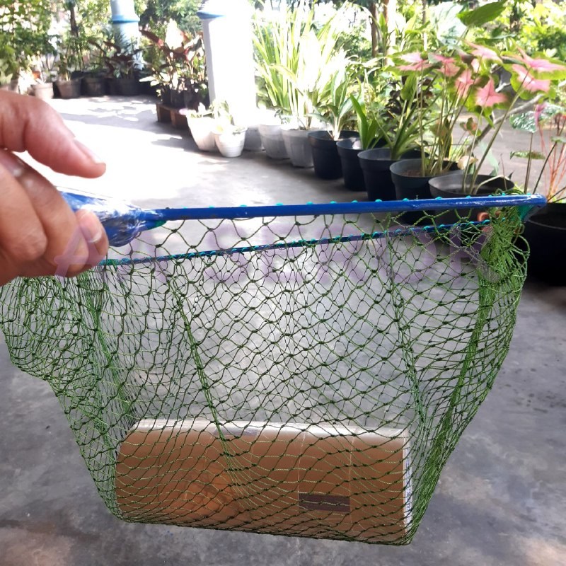 Serok paten PIPA d6 2