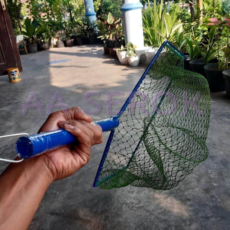 Serok paten PIPA d6 4