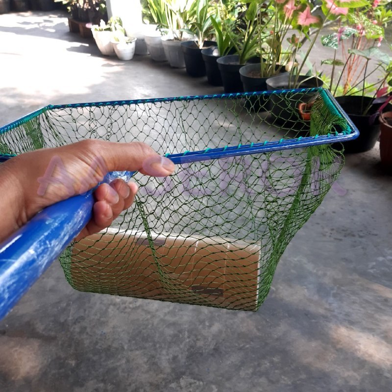 Serok paten PIPA d6 6