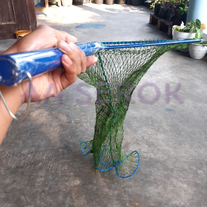 Serok brojol PIPA d6 4