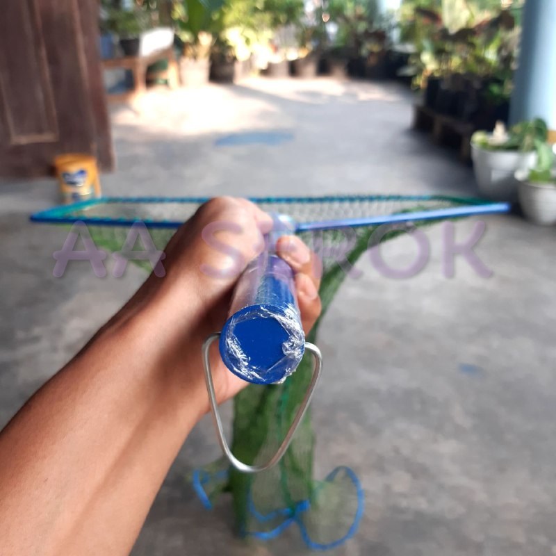 Serok brojol PIPA d6 5