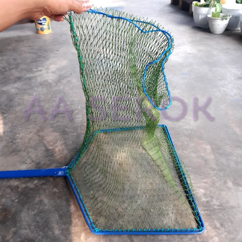 Serok brojol PIPA d6 6