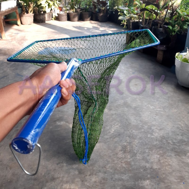 Serok brojol PIPA d6 7