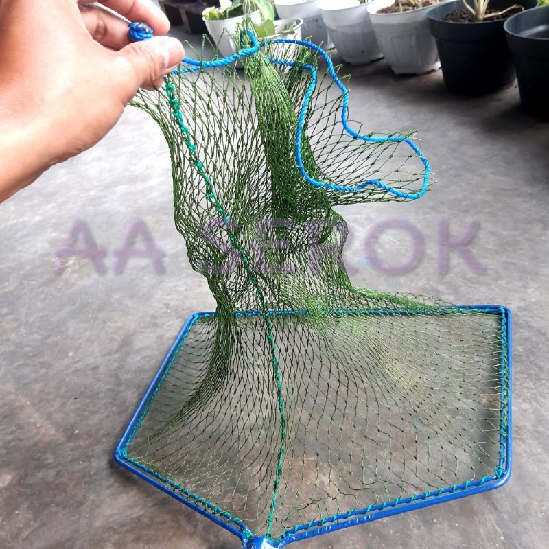 Serok brojol PIPA d6 10
