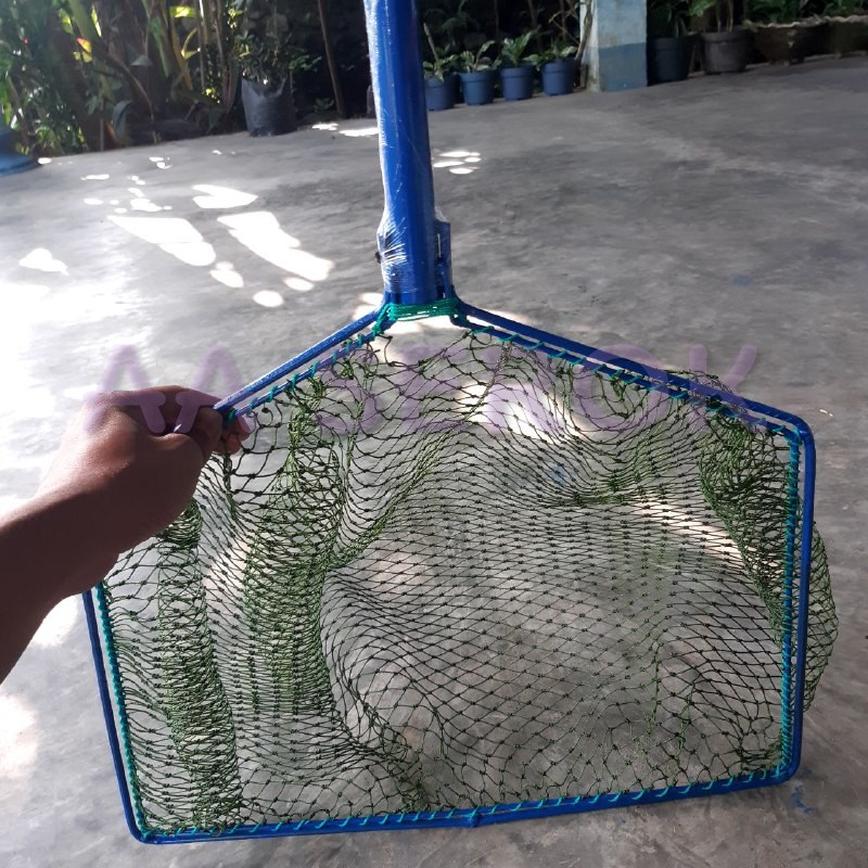 Serok paten PIPA d9 4
