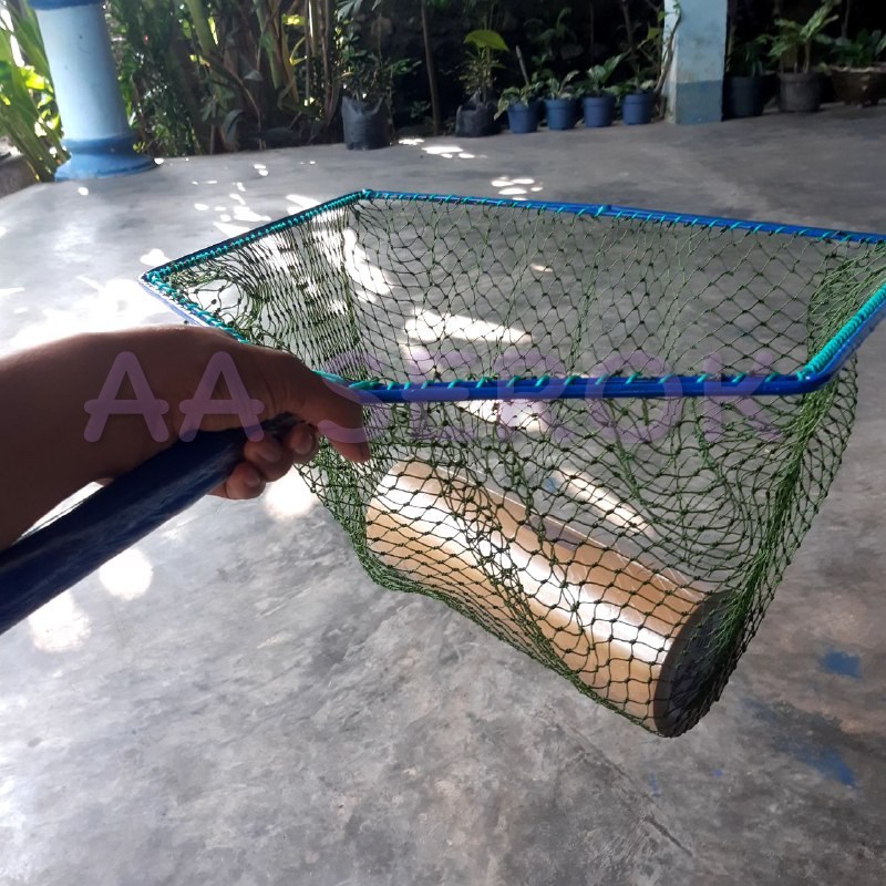 Serok paten PIPA d9 8