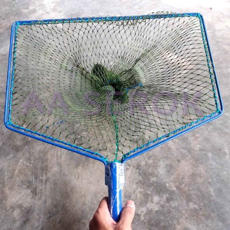 Serok brojol PIPA d9