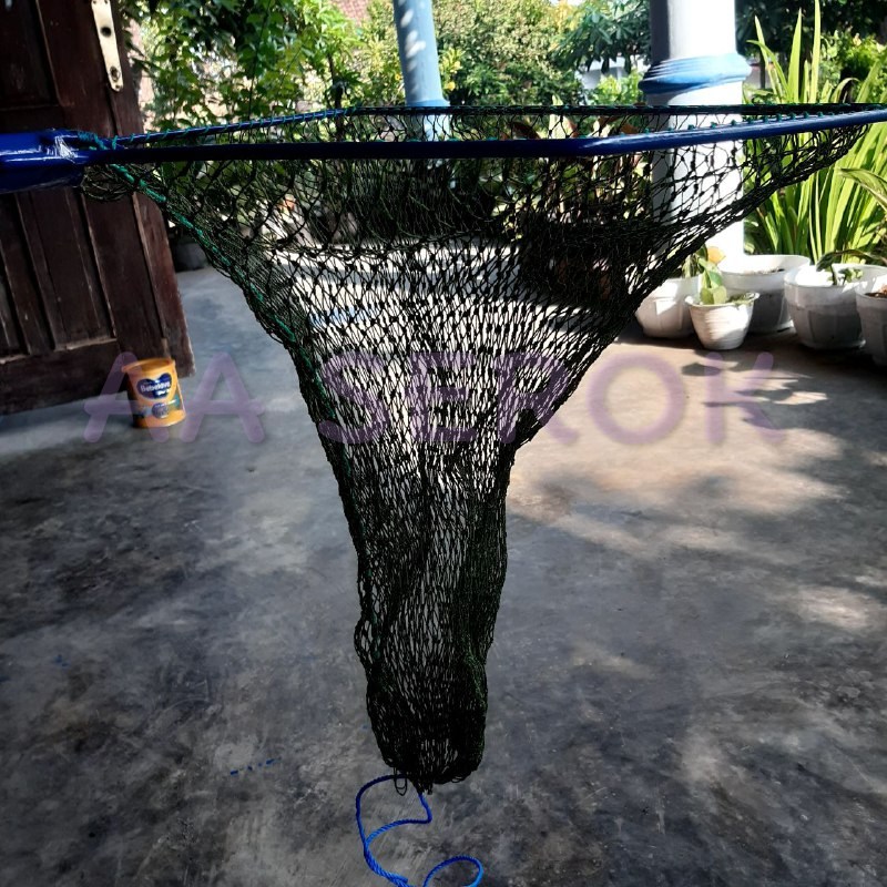 Serok brojol PIPA d9 5