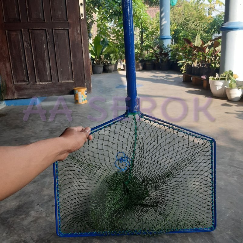Serok brojol PIPA d9 6