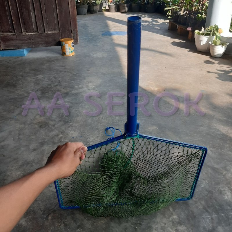 Serok brojol PIPA d9 7