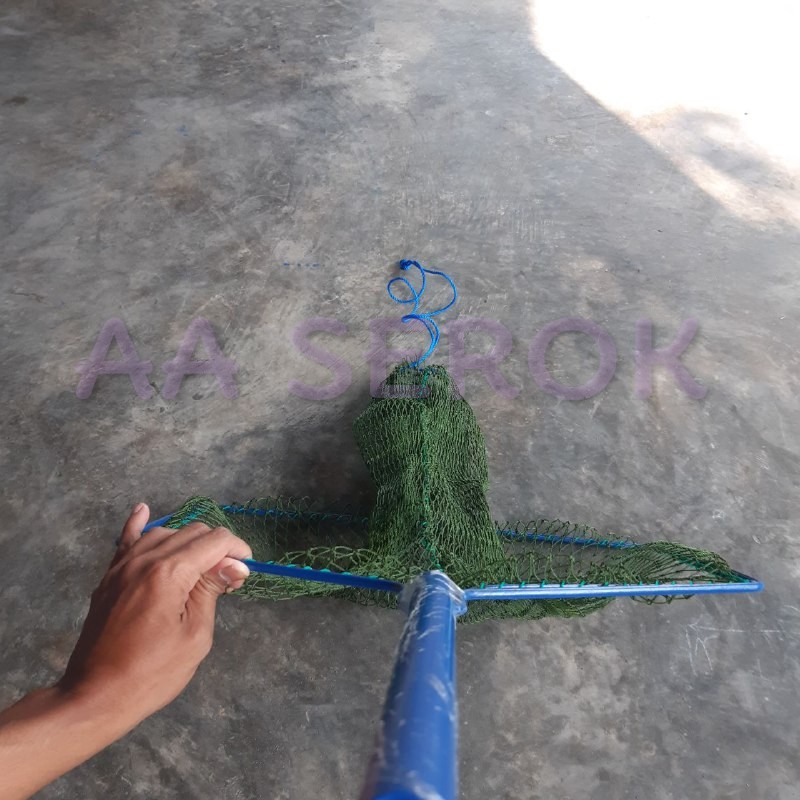 Serok brojol PIPA d9 8