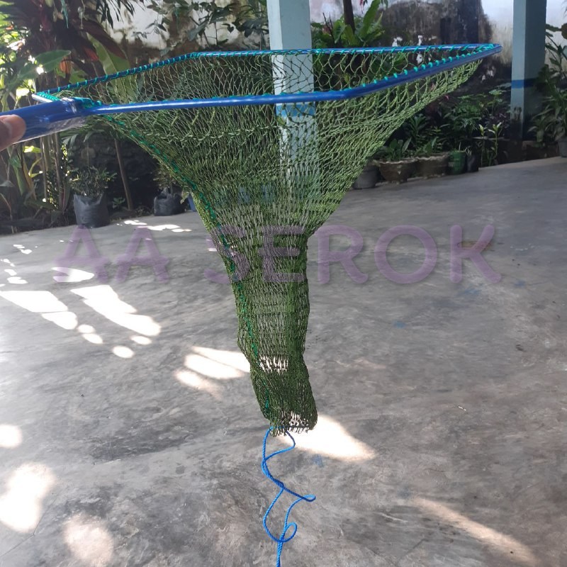 Serok brojol PIPA d9 9