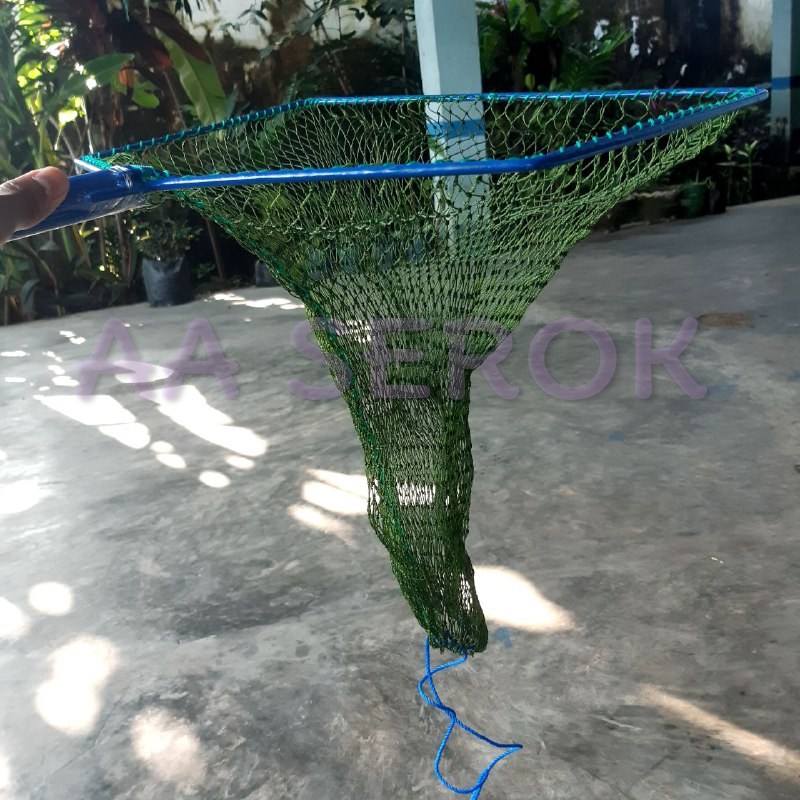 Serok brojol PIPA d9 10