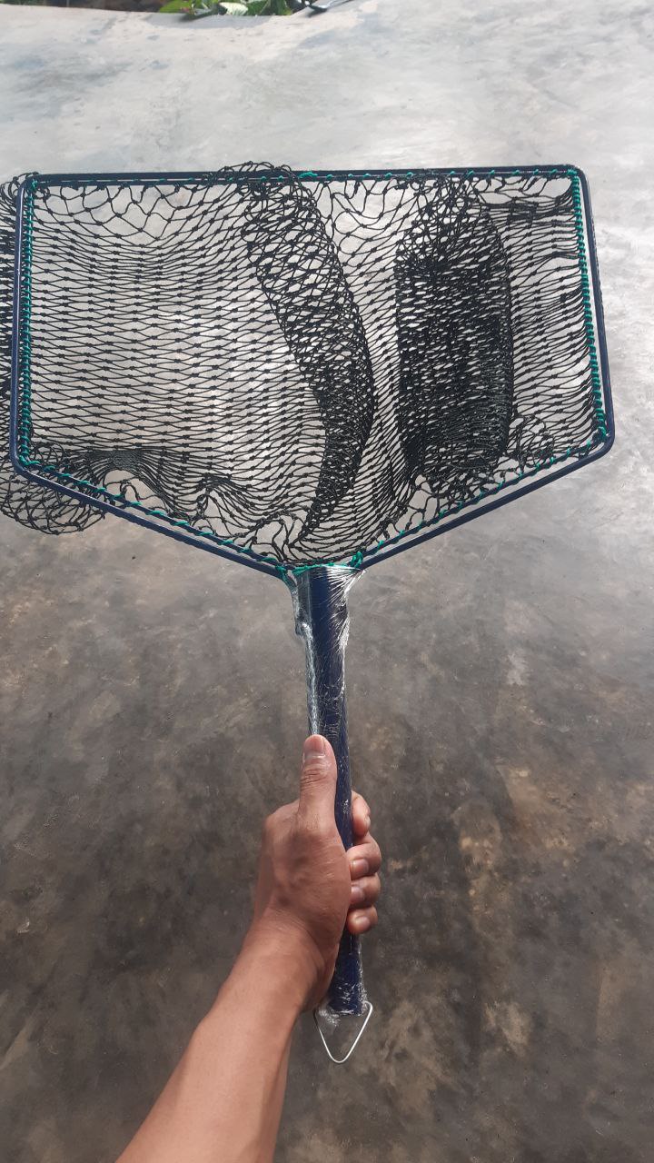 Serok paten D15