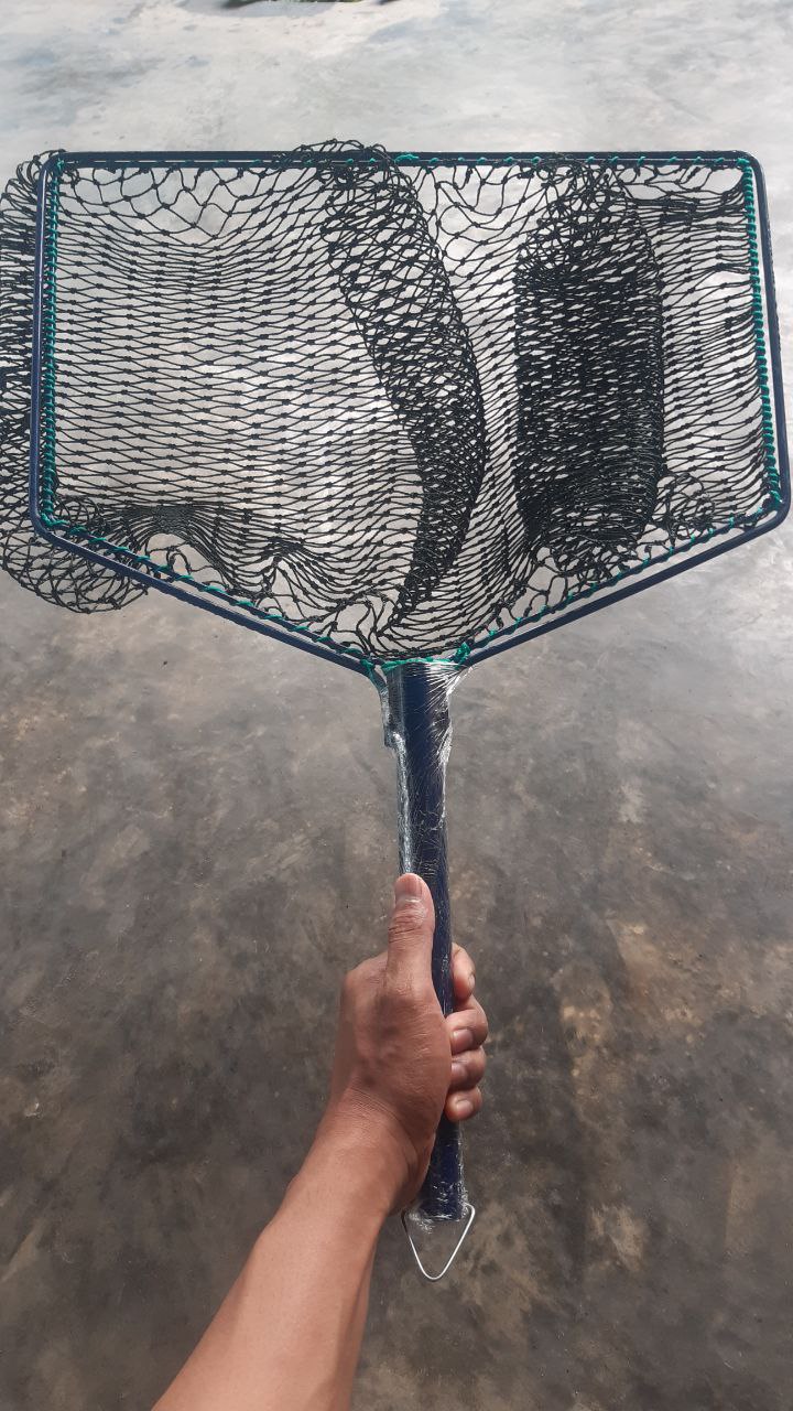 Serok paten D15 2