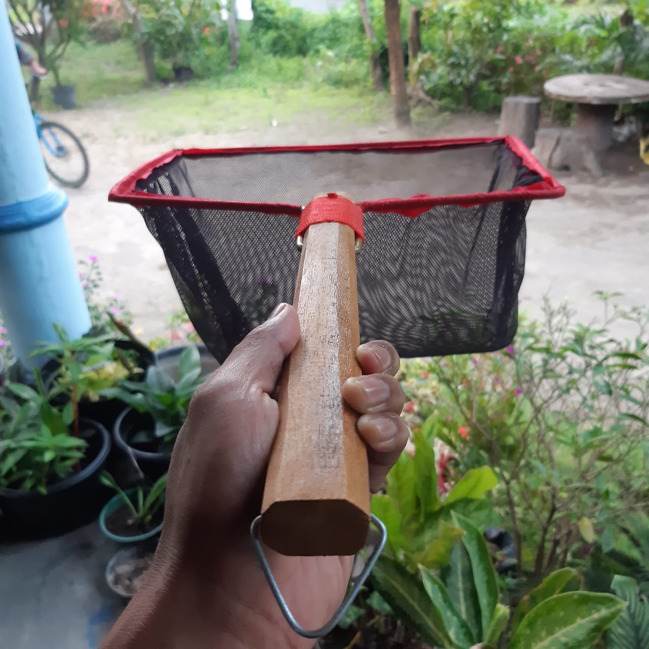 Serok 35cm BIBIT hitam 2